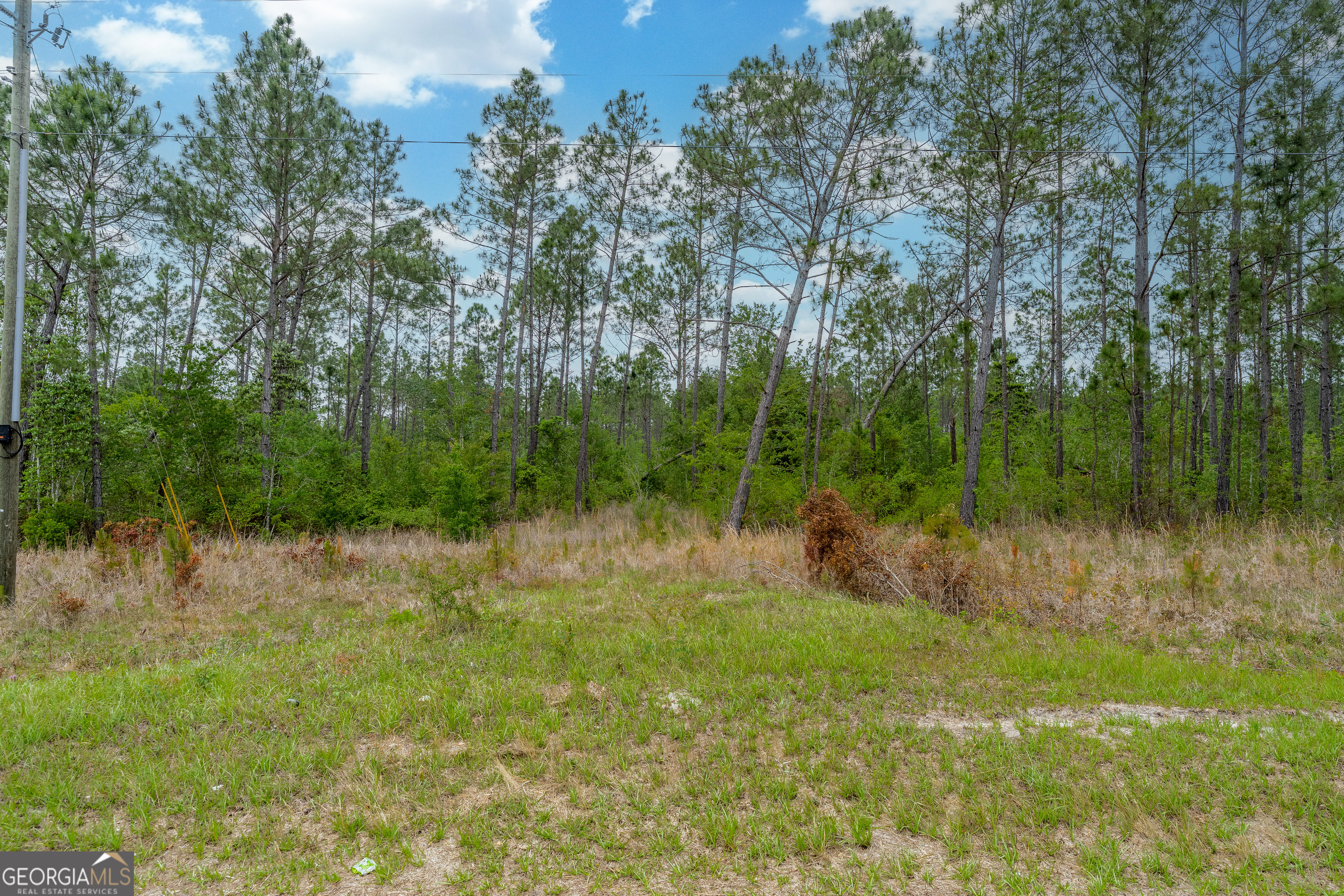 110 Lees Chapel Road Nicholls, GA 31554 - Photo 4 of 19