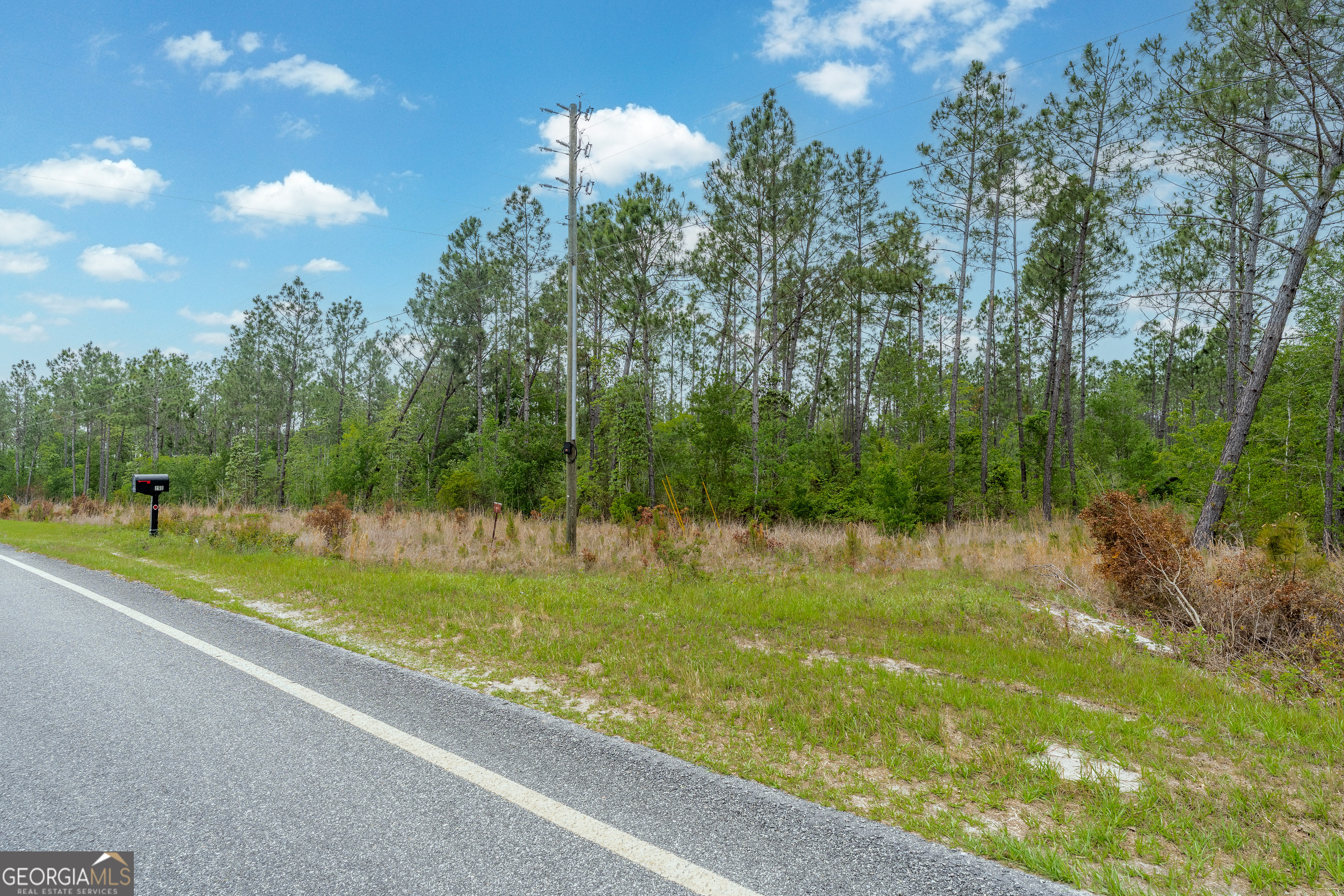 110 Lees Chapel Road Nicholls, GA 31554 - Photo 5 of 19