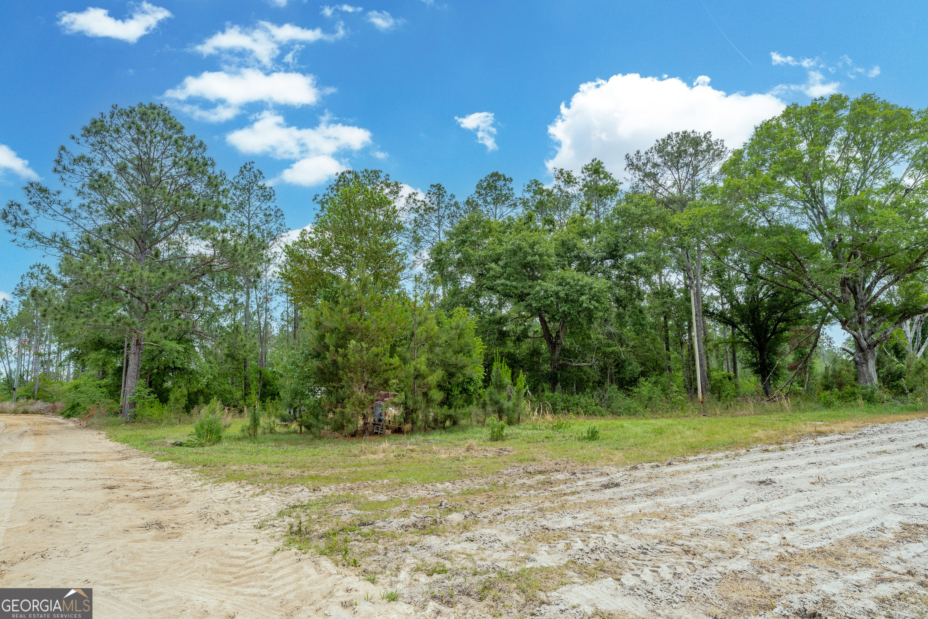 110 Lees Chapel Road Nicholls, GA 31554 - Photo 6 of 19