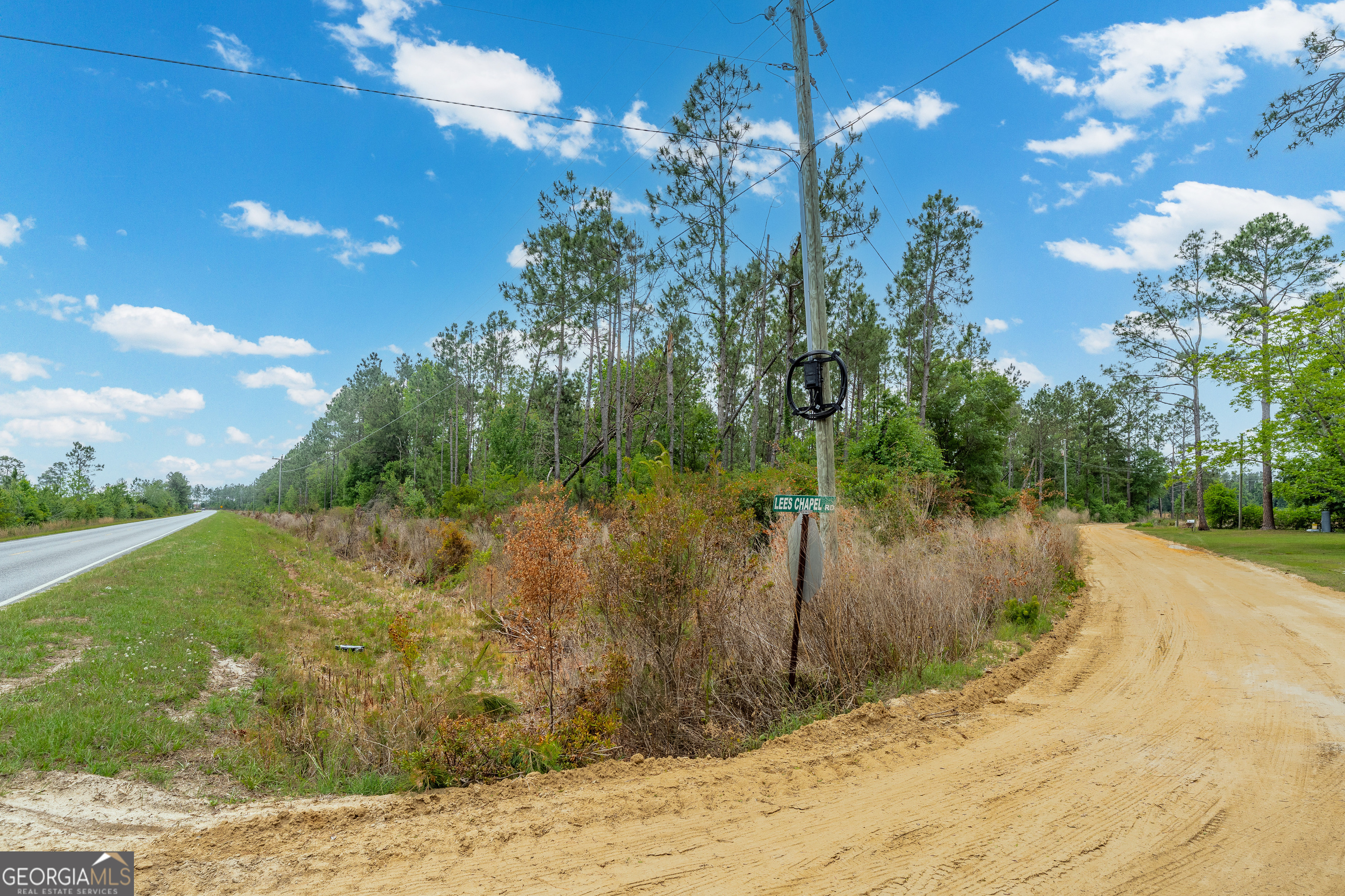 110 Lees Chapel Road Nicholls, GA 31554 - Photo 7 of 19