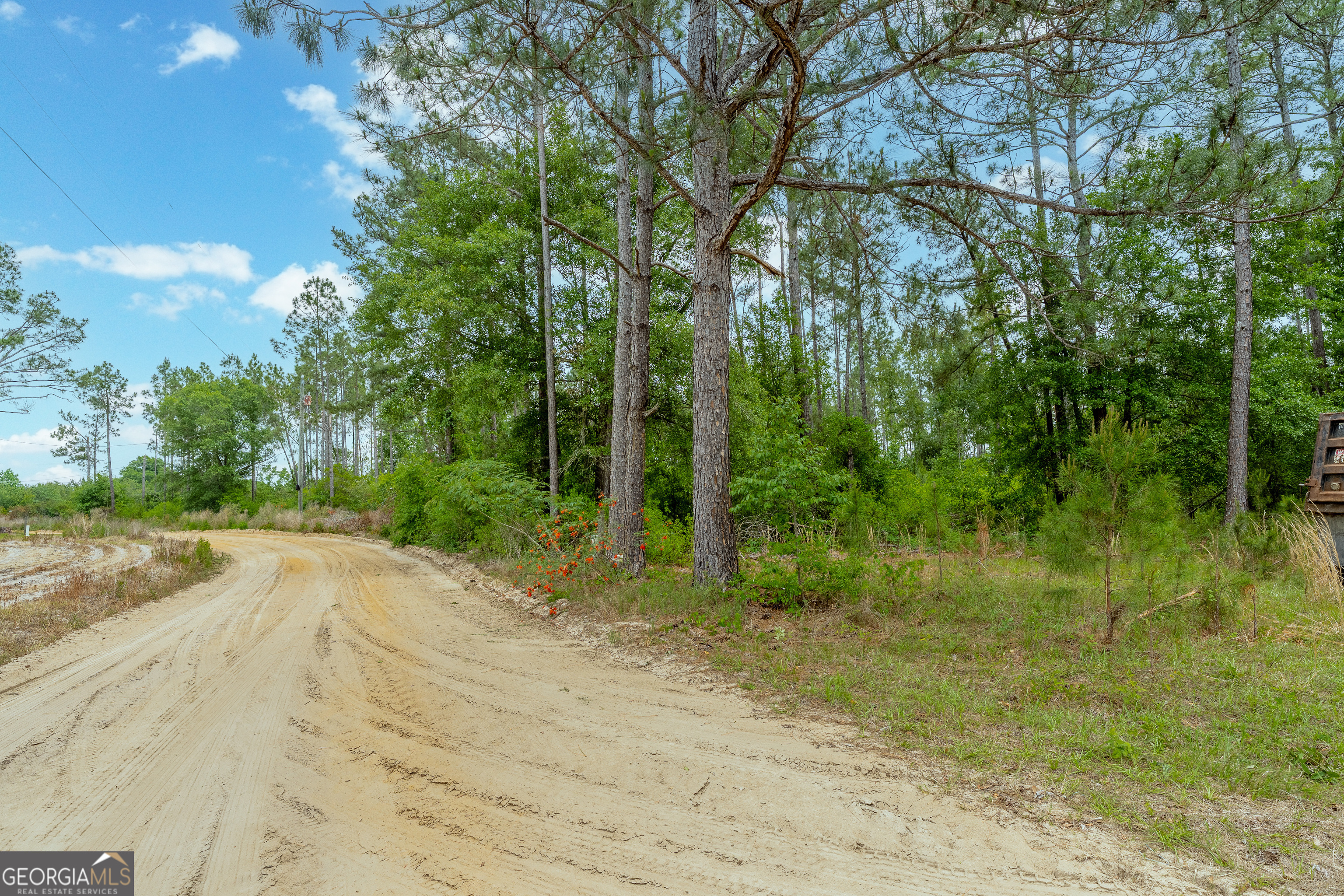 110 Lees Chapel Road Nicholls, GA 31554 - Photo 8 of 19