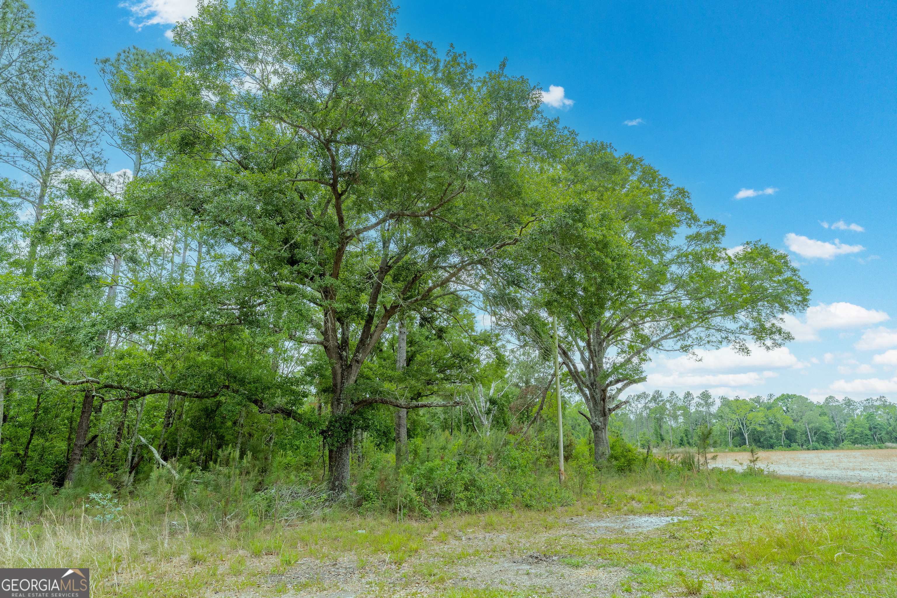110 Lees Chapel Road Nicholls, GA 31554 - Photo 9 of 19