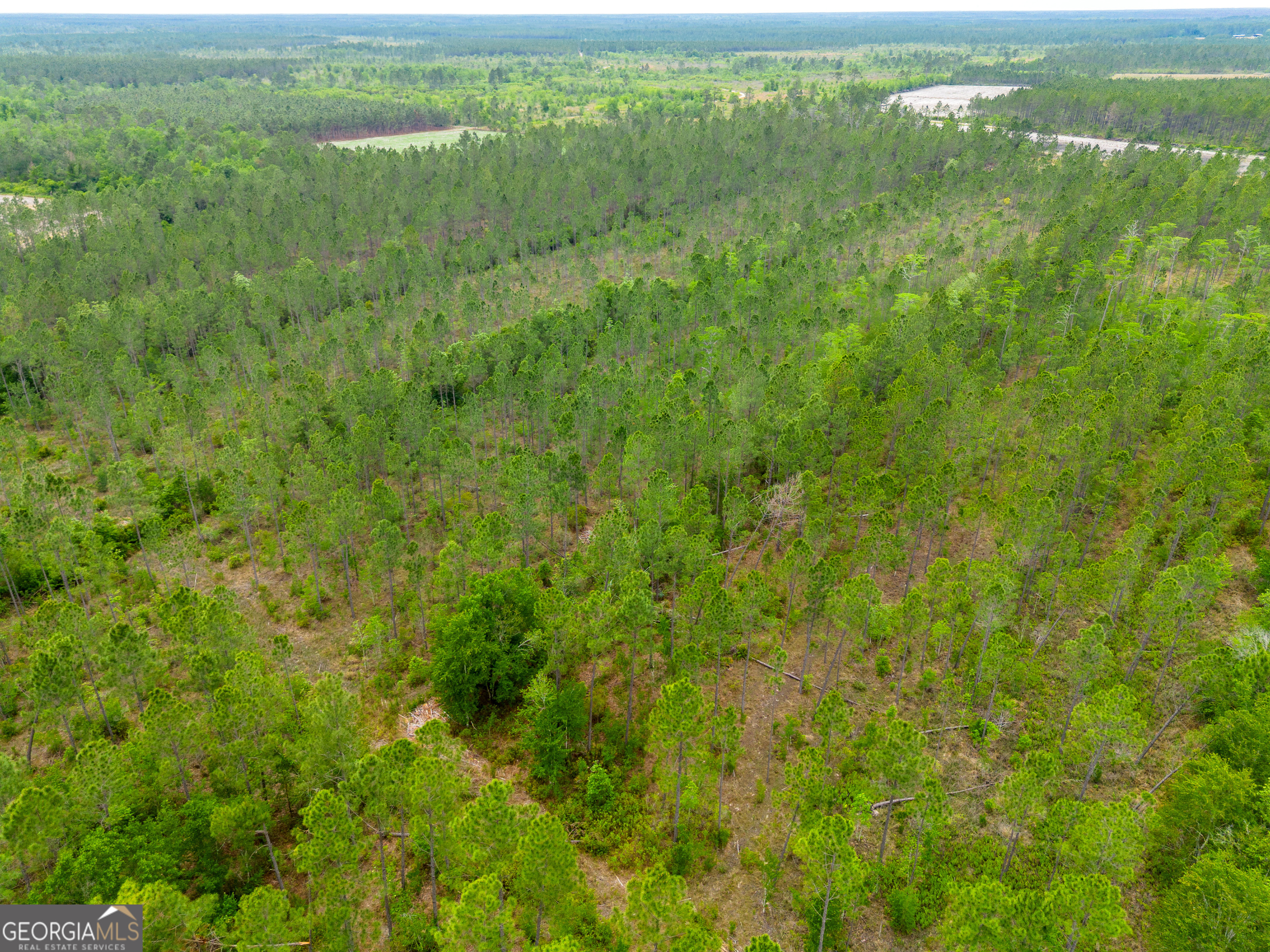 110 Lees Chapel Road Nicholls, GA 31554 - Photo 10 of 19