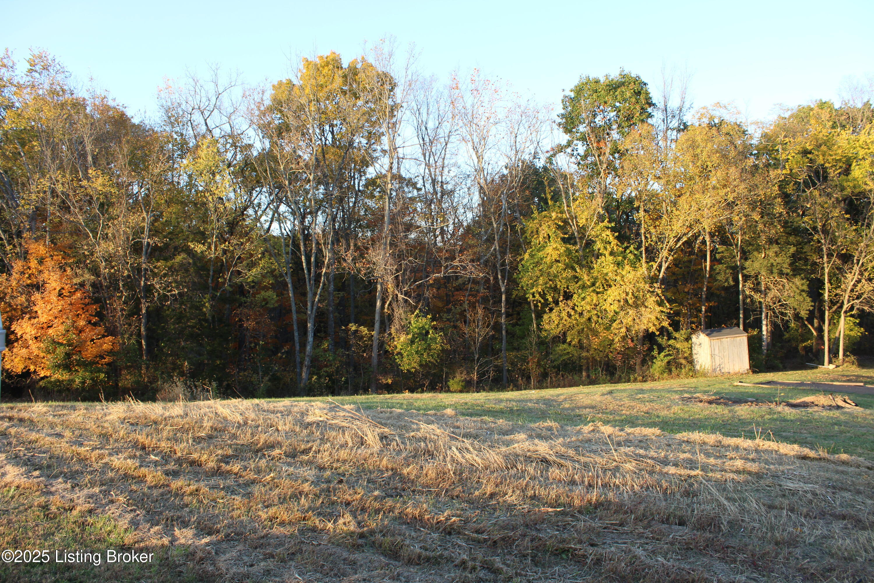 12 Vigo Road Bagdad, KY 40003 - Photo 22 of 25 IMG_1270