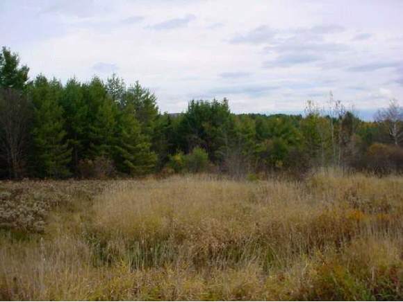 Lot 3 Pond Hill Road Lunenburg, VT 05906 - Photo 1 of 1