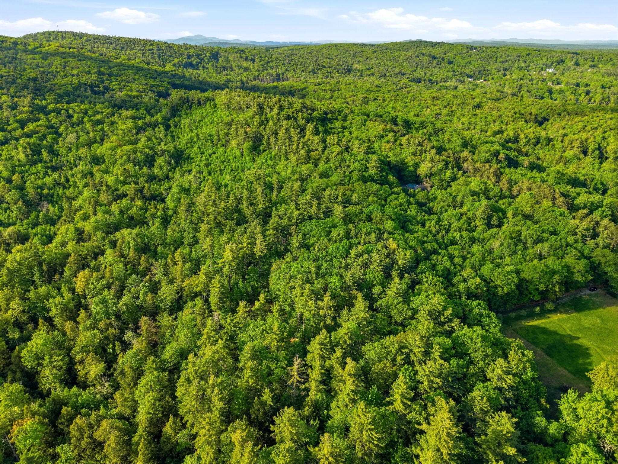 91 Wolf Hill Road Deering, NH 03244 - Photo 7 of 24
