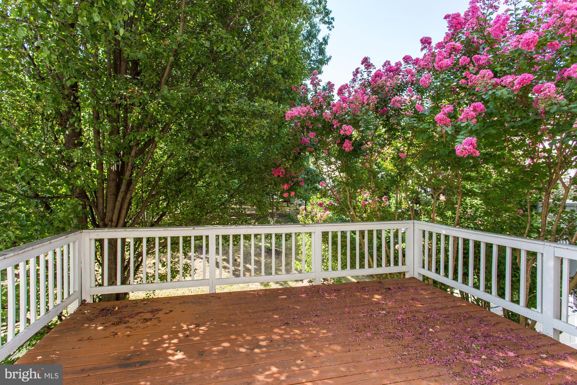 12011 Edgemere Circle Reston, VA 20190 - Photo 7 of 29 UPPER DECK FROM BREAKFAST ROOM