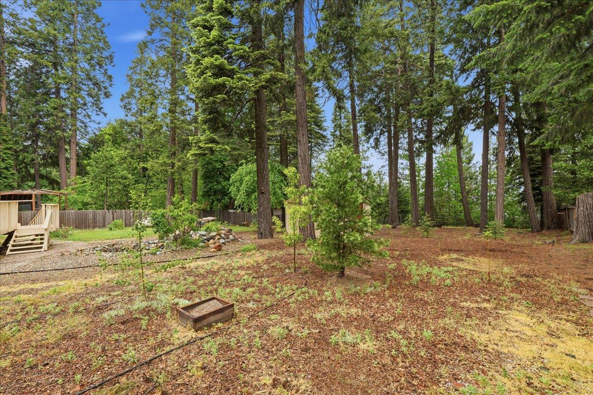 6775 Ridgeway Drive Pollock Pines, CA 95726 - Photo 41 of 54