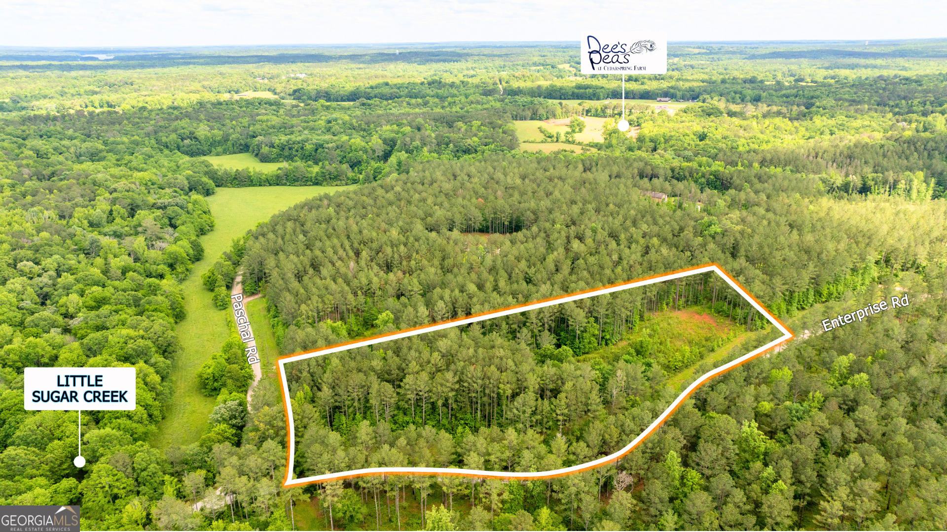 0 Enterprise Road Buckhead, GA 30650 - Photo 1 of 1