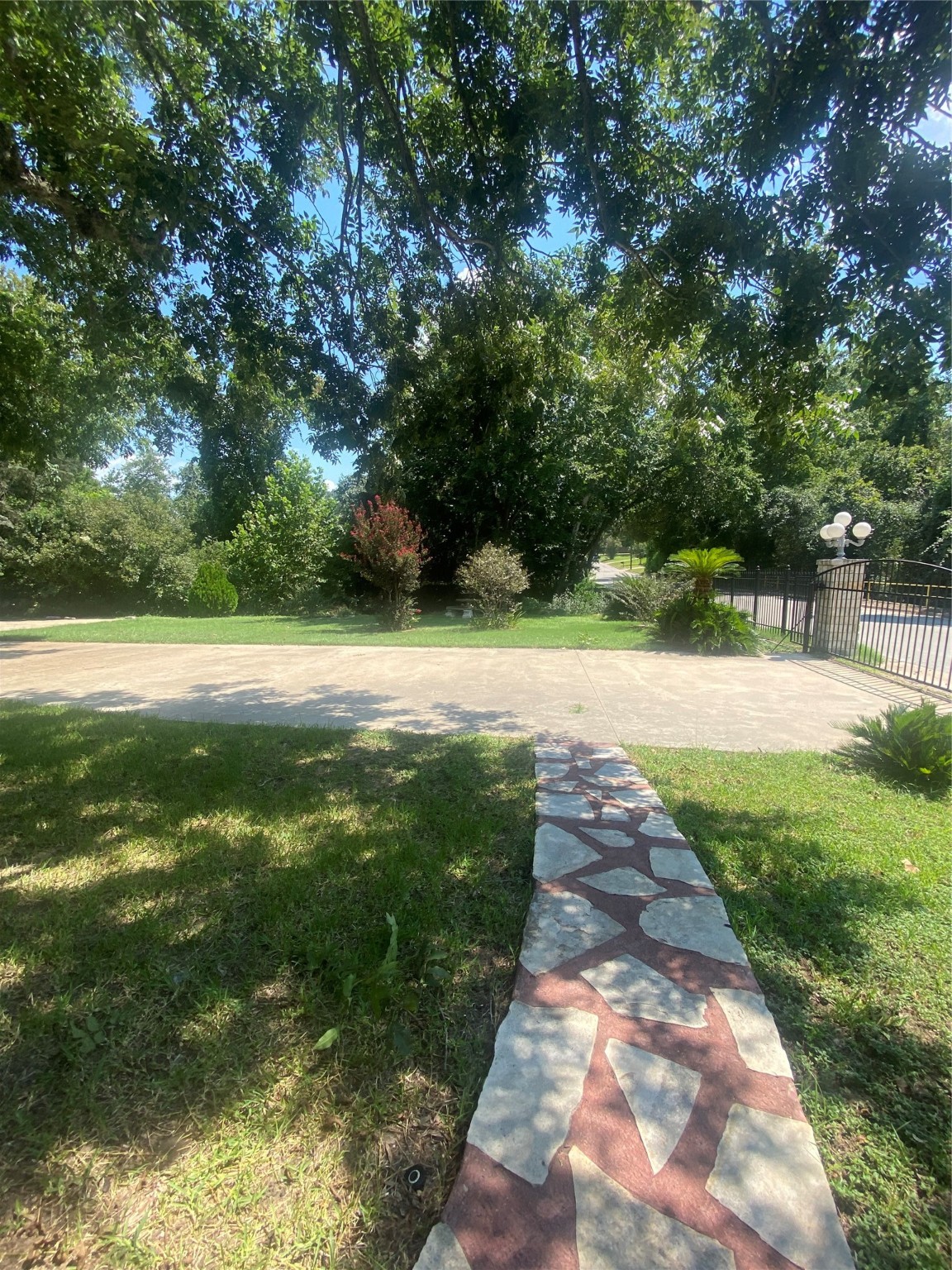 609 Kerr Street Brenham, TX 77833 - Photo 3 of 34 a view of a yard with plants and large trees