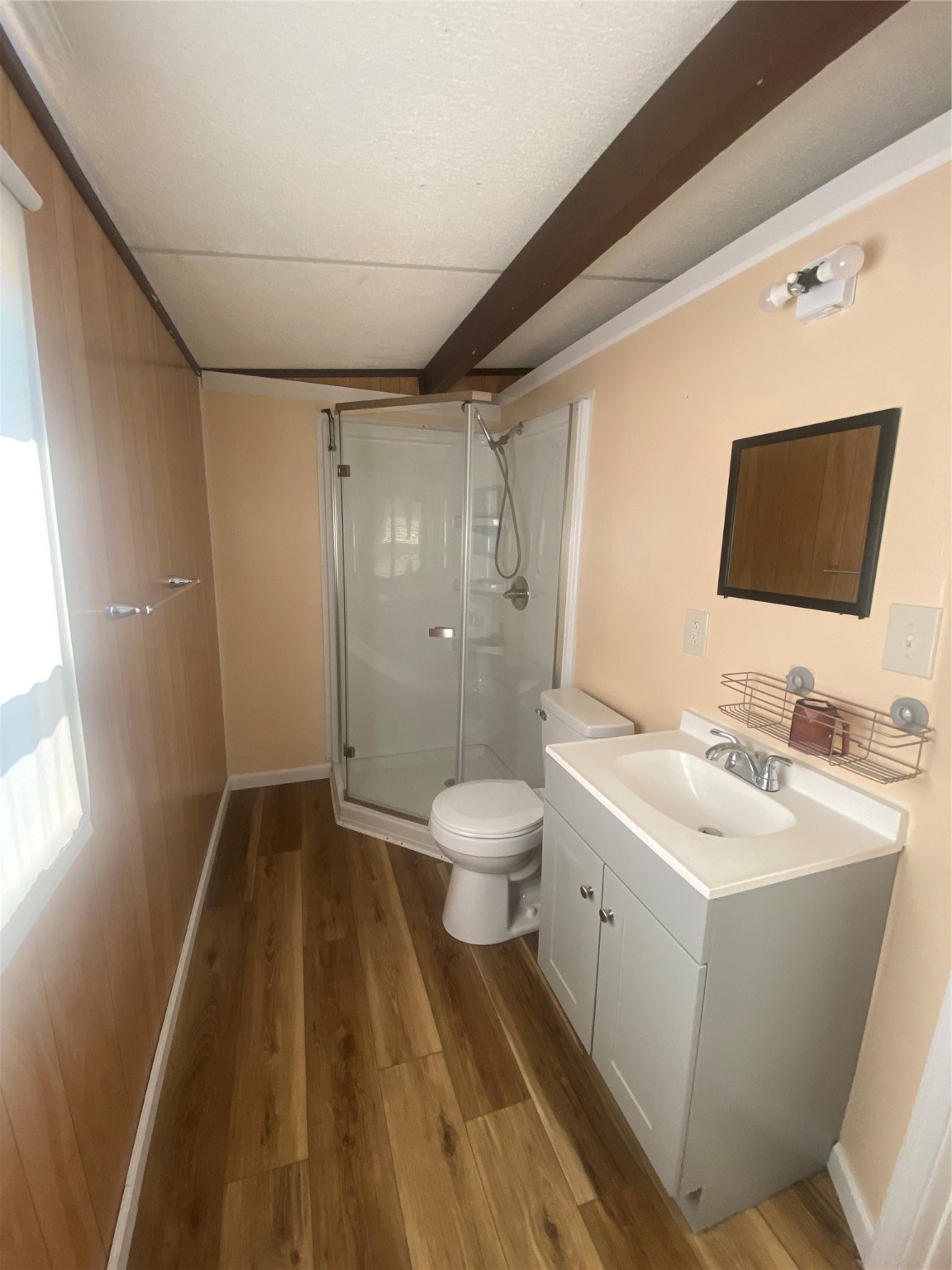 609 Kerr Street Brenham, TX 77833 - Photo 32 of 34 a bathroom with a toilet a sink and a mirror