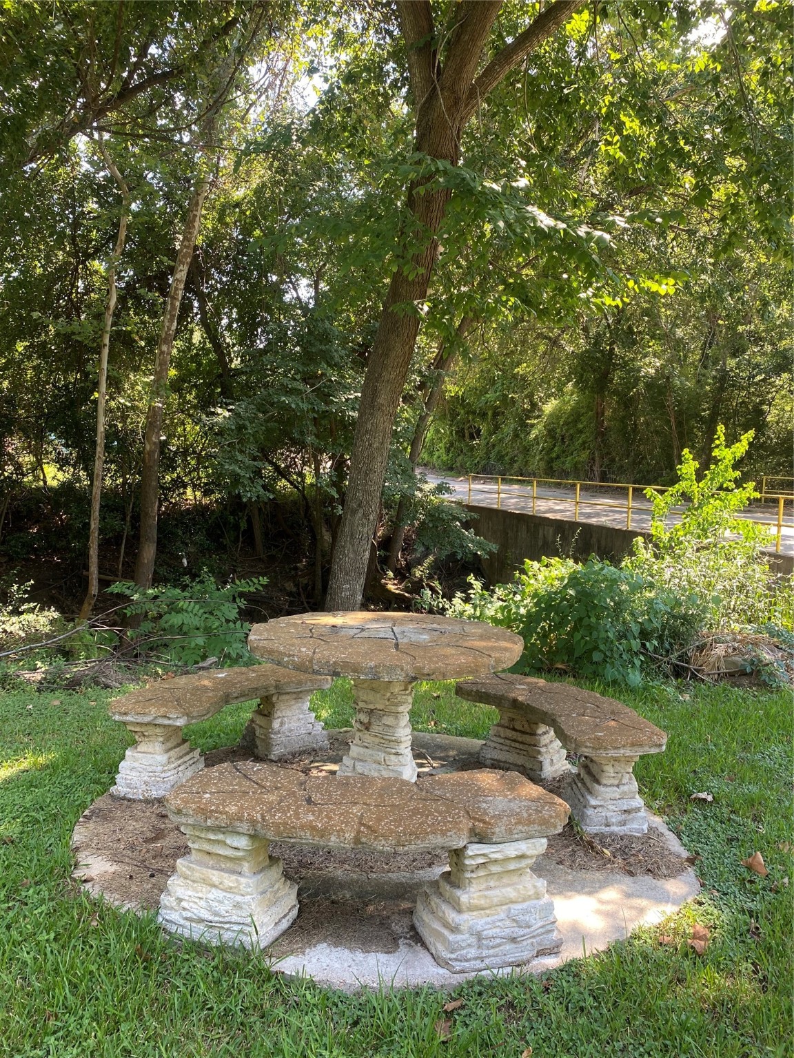609 Kerr Street Brenham, TX 77833 - Photo 4 of 34 a view of a garden with plants and large trees