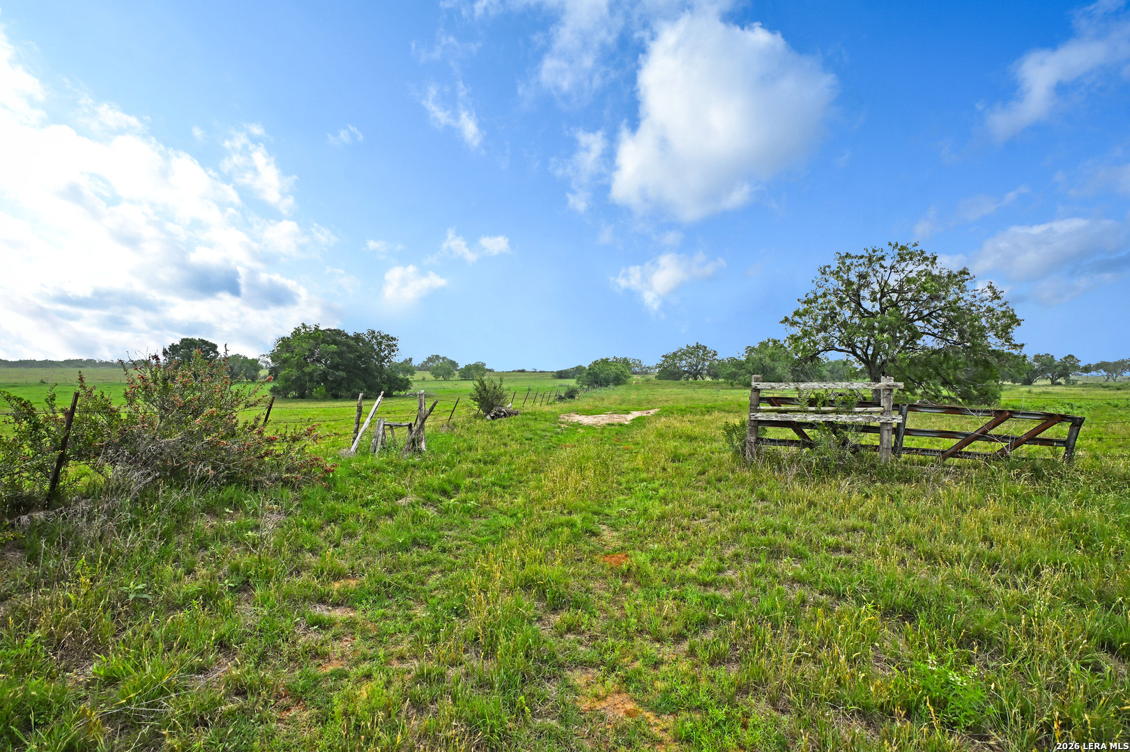 1335 North Gable Road St. Hedwig, TX 78152 - Photo 22 of 25