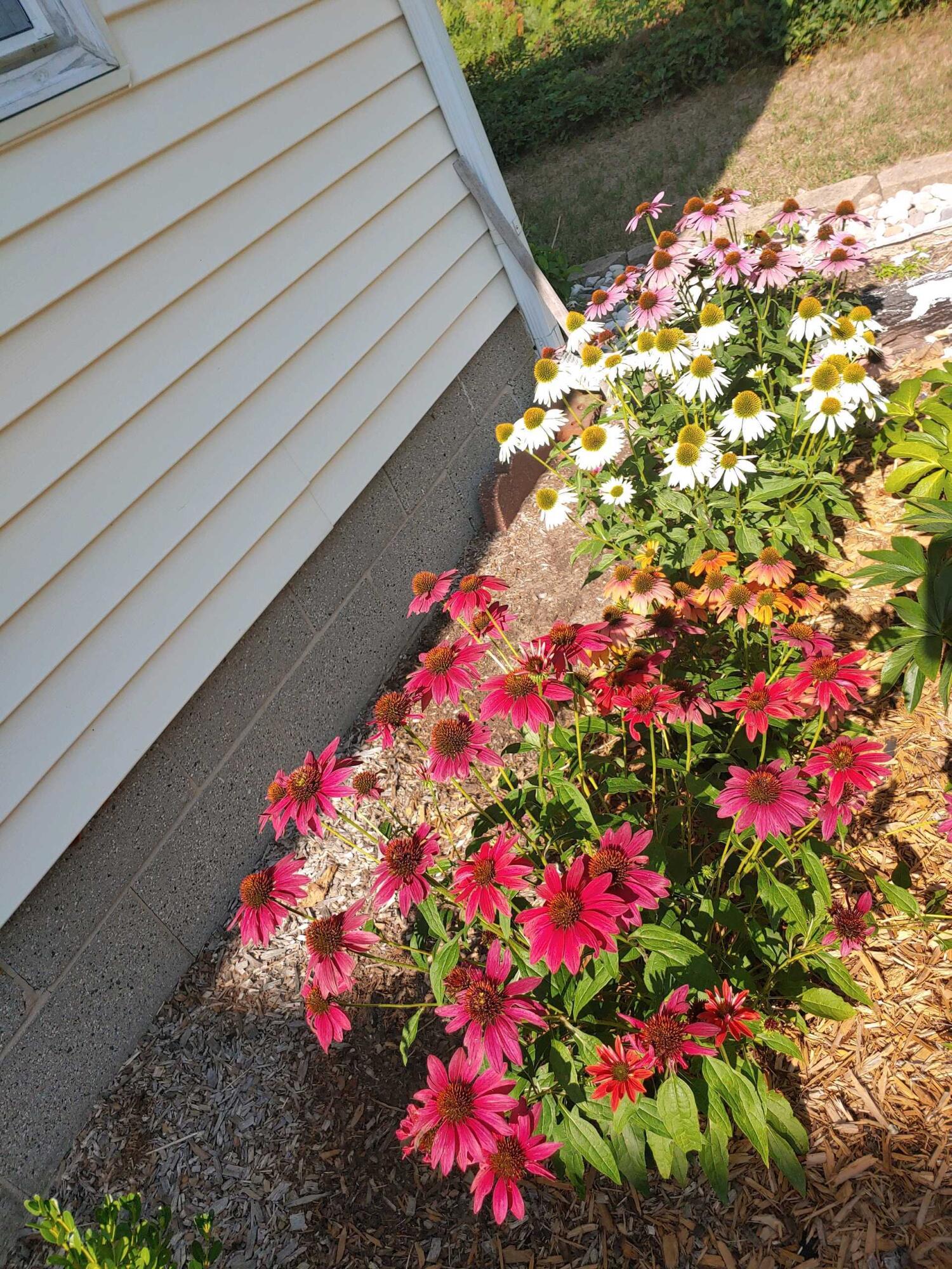 1547 Duck Lake Road Muskegon, MI 49445 - Photo 51 of 60 0804231734b
