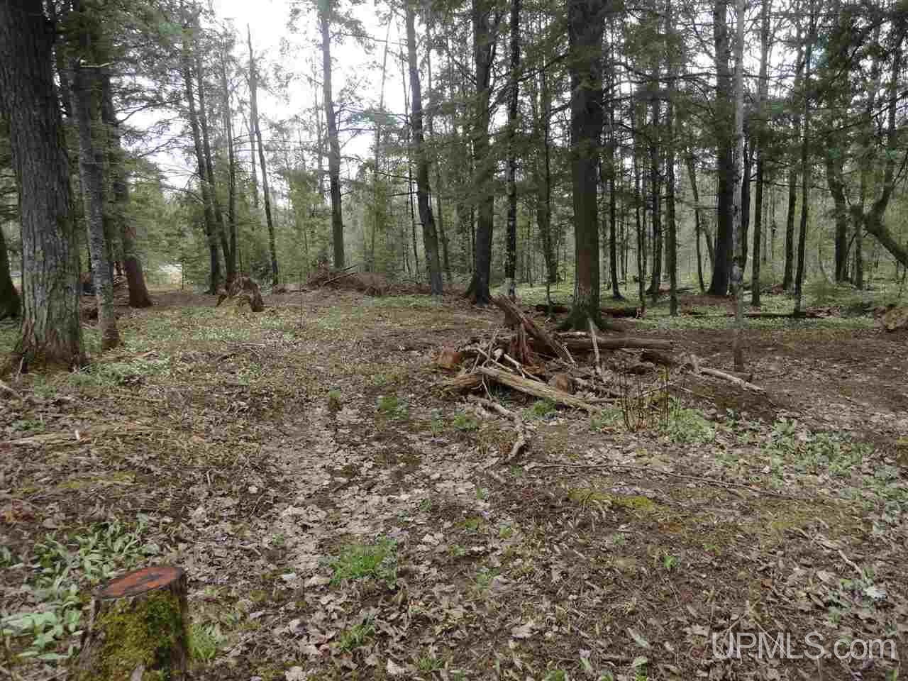 East Shore Road Marenisco, MI 49947 - Photo 7 of 12