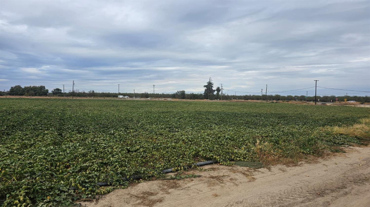 11881 Griffith Road Turlock, CA 95380 - Photo 32 of 42 a view of a field with an ocean