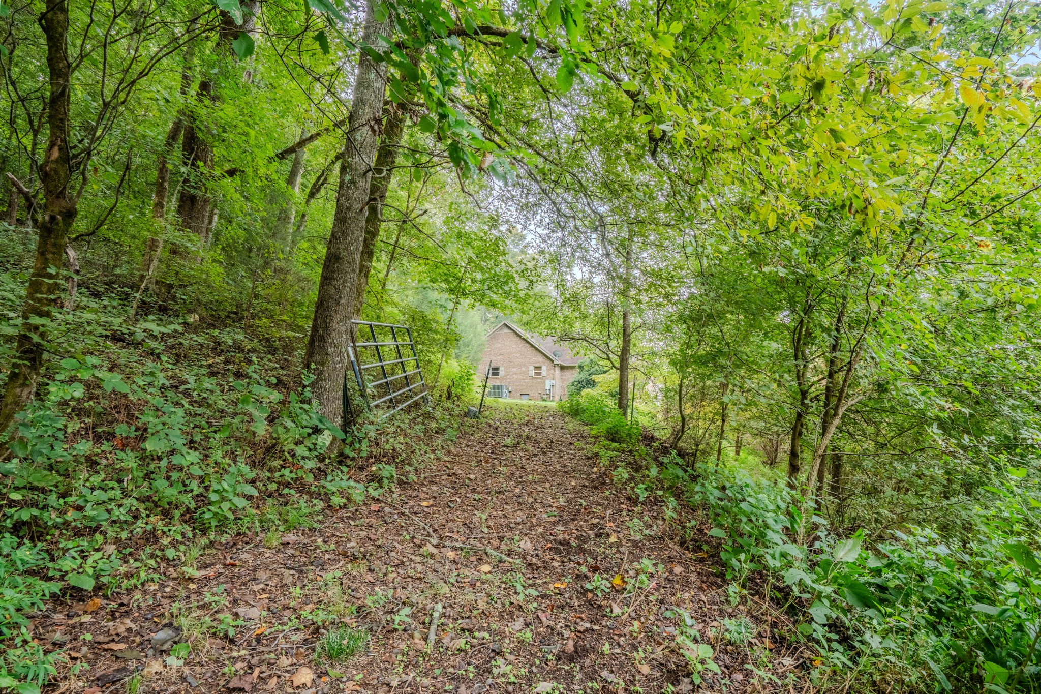 410 Britton Hollow Road Pulaski, TN 38478 - Photo 40 of 74 a big yard with lots of green space and house in the back