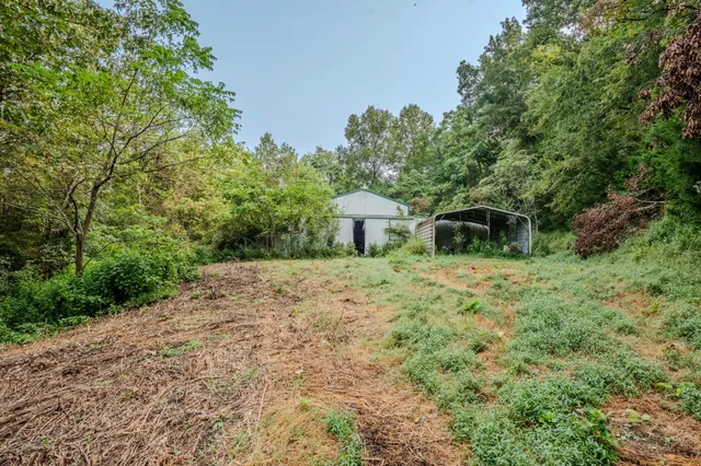a view of a golf course with a garden