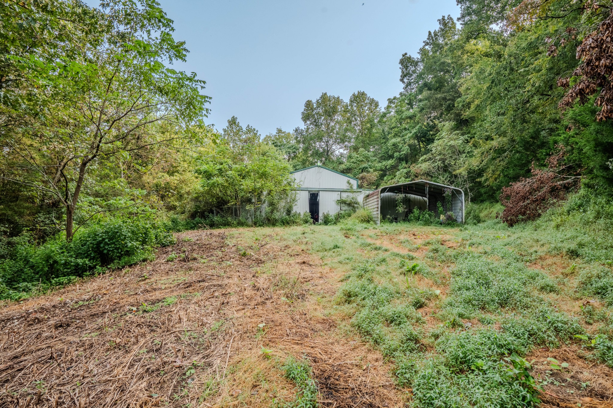 410 Britton Hollow Road Pulaski, TN 38478 - Photo 41 of 74 a fire hydrant in the middle of a field