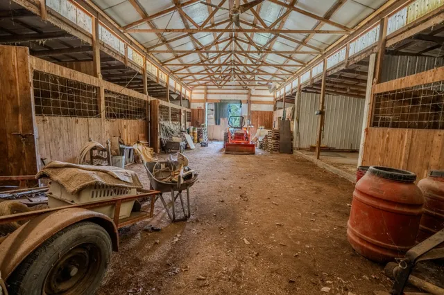 a view of a yard with a tree