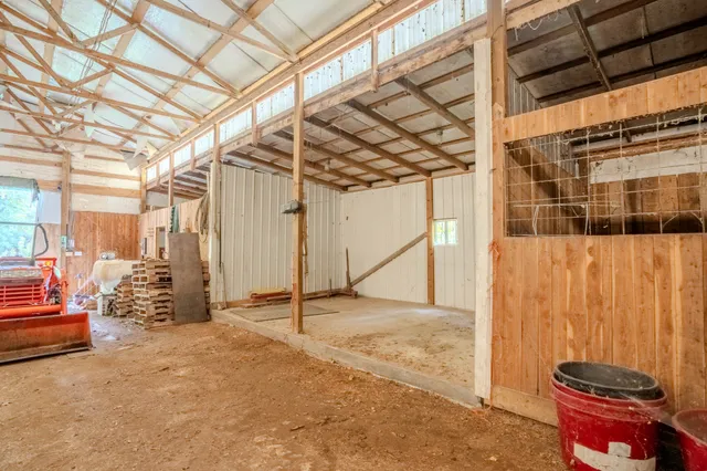 a view of a large yard with plants and large trees