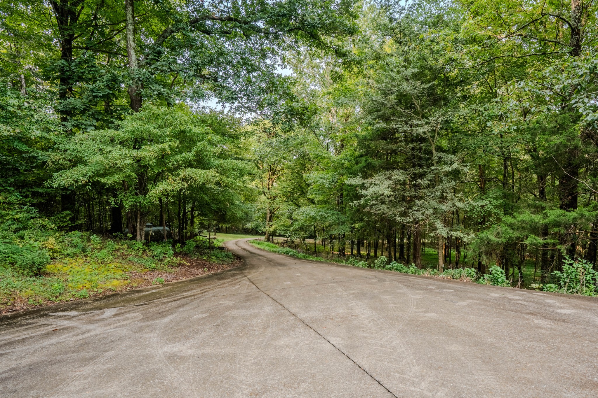 410 Britton Hollow Road Pulaski, TN 38478 - Photo 48 of 74 a view of a road with plants and large trees