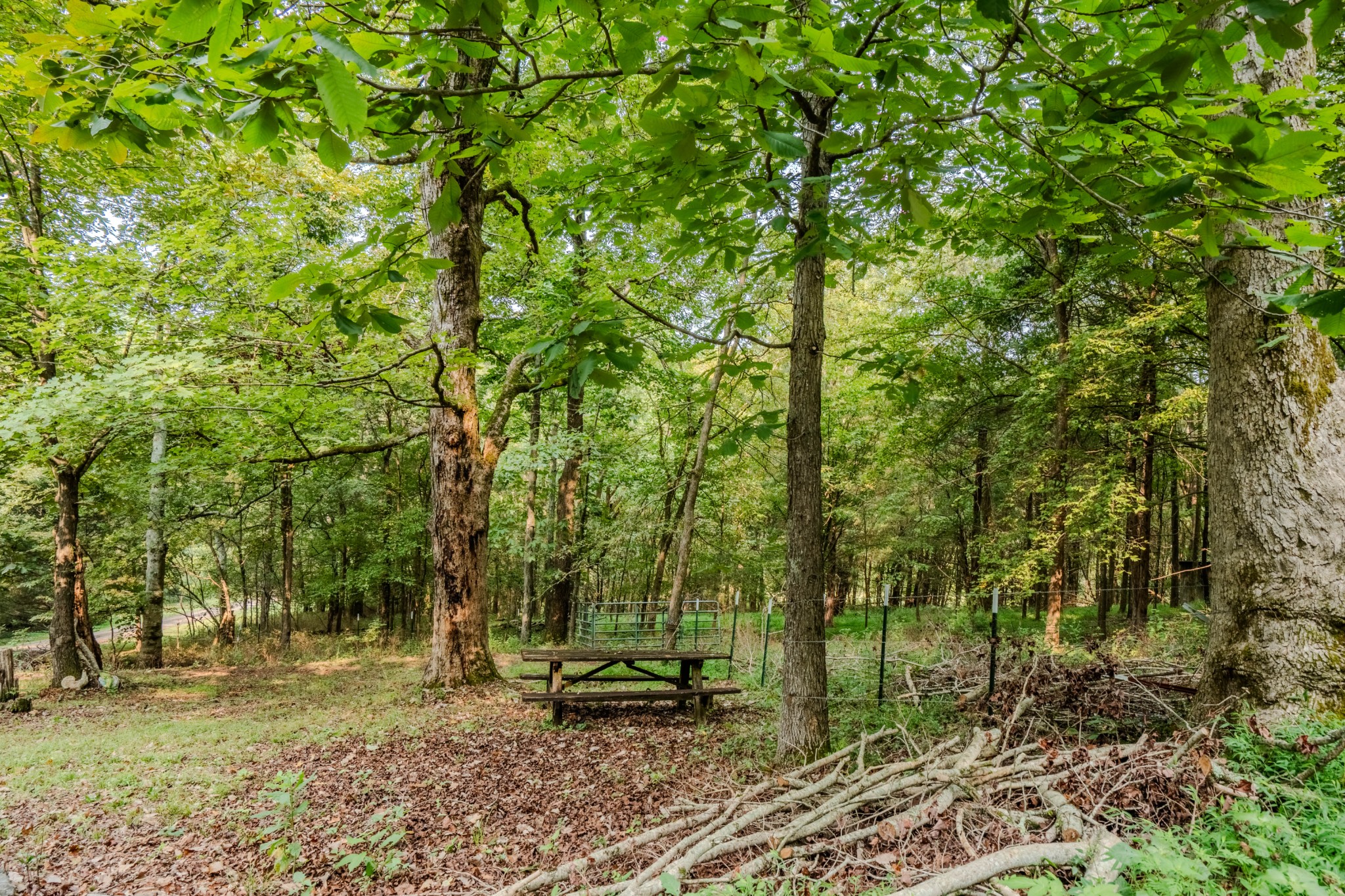 410 Britton Hollow Road Pulaski, TN 38478 - Photo 49 of 74 a view of outdoor space with deck and yard