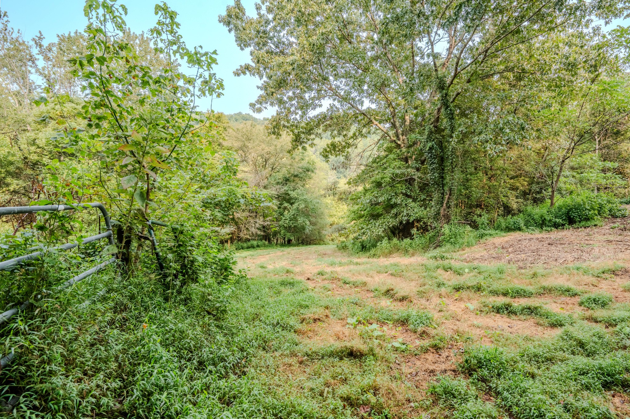 410 Britton Hollow Road Pulaski, TN 38478 - Photo 50 of 74