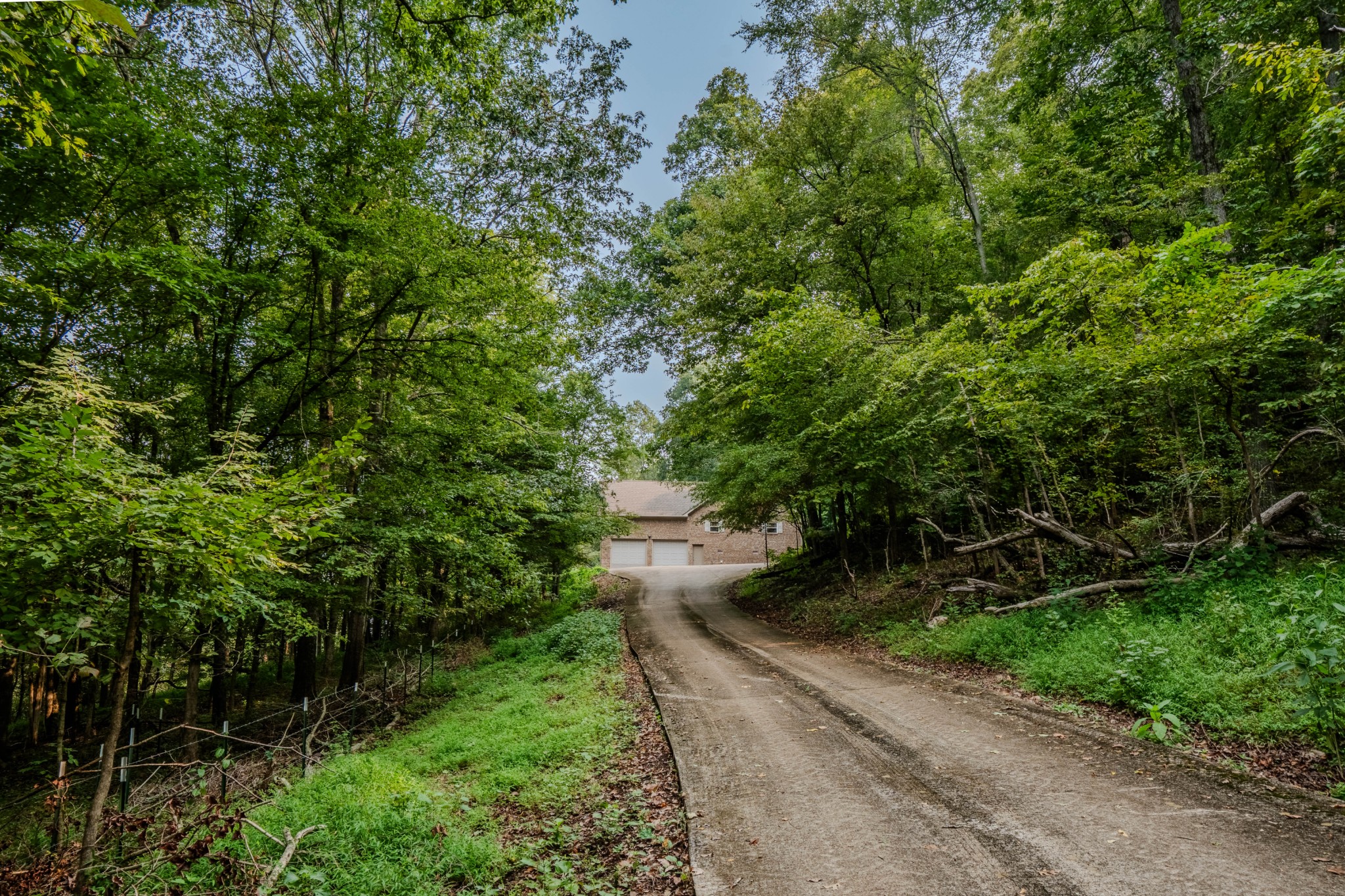 410 Britton Hollow Road Pulaski, TN 38478 - Photo 51 of 74 a view of a yard with plants and a small yard