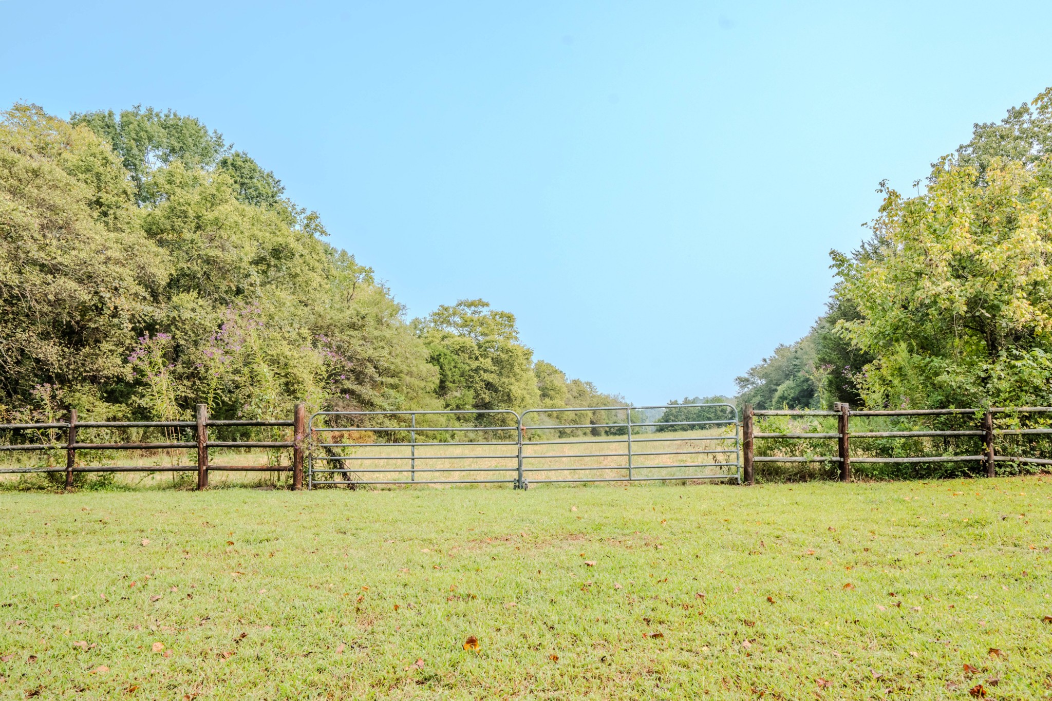 410 Britton Hollow Road Pulaski, TN 38478 - Photo 54 of 74 a view of outdoor space with garden and trees