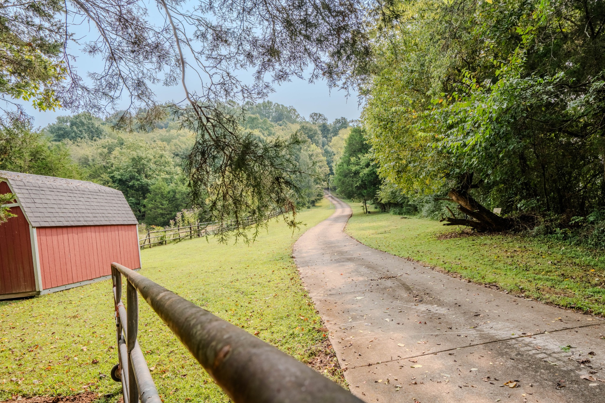 410 Britton Hollow Road Pulaski, TN 38478 - Photo 55 of 74 a view of a backyard with plants