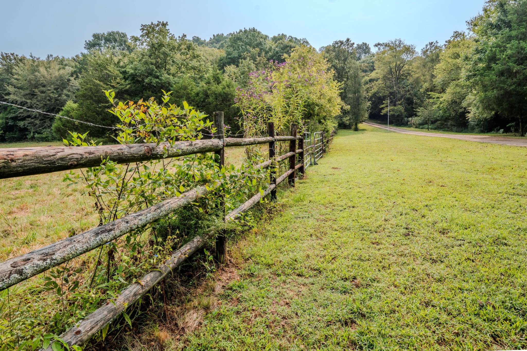 410 Britton Hollow Road Pulaski, TN 38478 - Photo 57 of 74 a view of an outdoor space with a lake view
