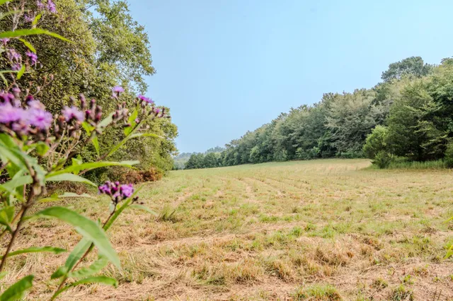 $769,500 | 410 Britton Hollow Road, Pulaski, TN 38478