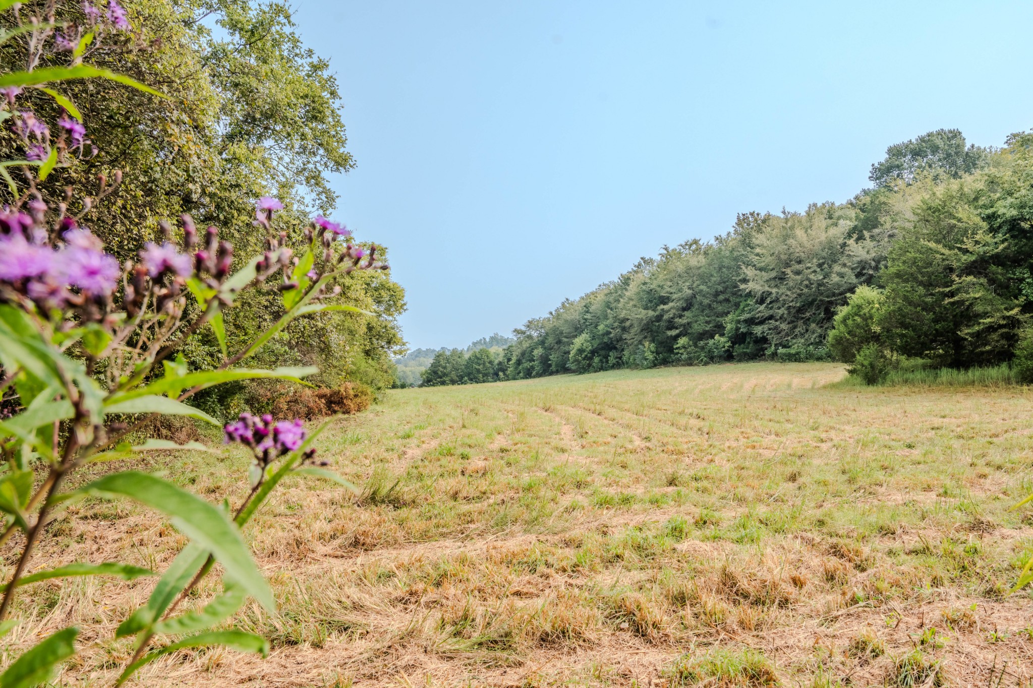 410 Britton Hollow Road Pulaski, TN 38478 - Photo 58 of 74