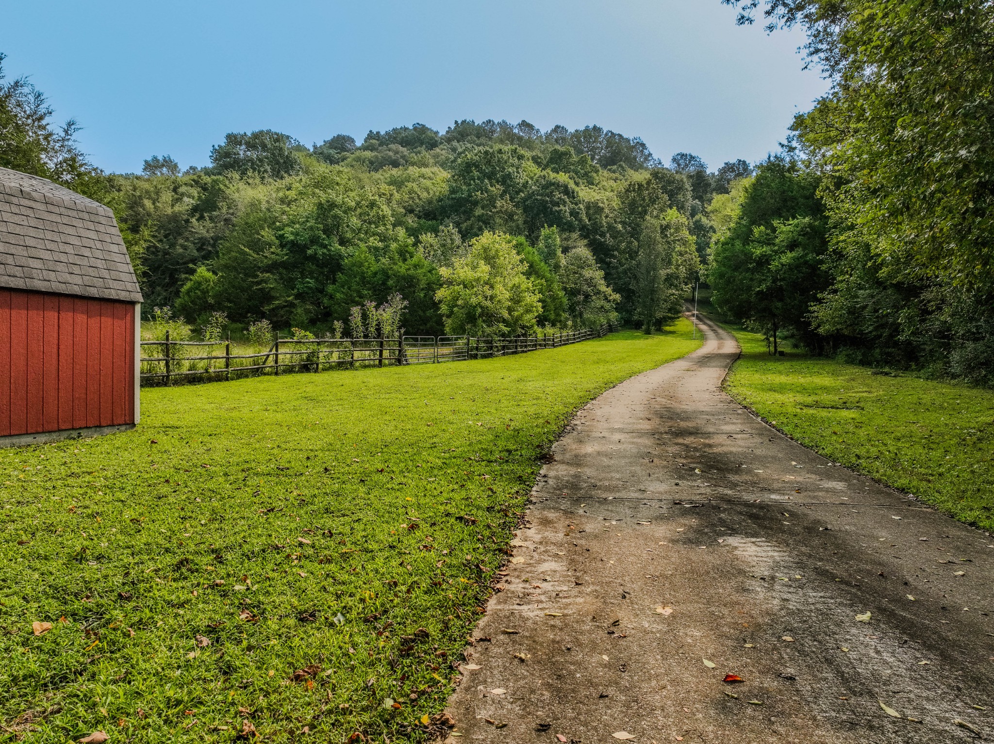 410 Britton Hollow Road Pulaski, TN 38478 - Photo 60 of 74 a view of a yard with a house