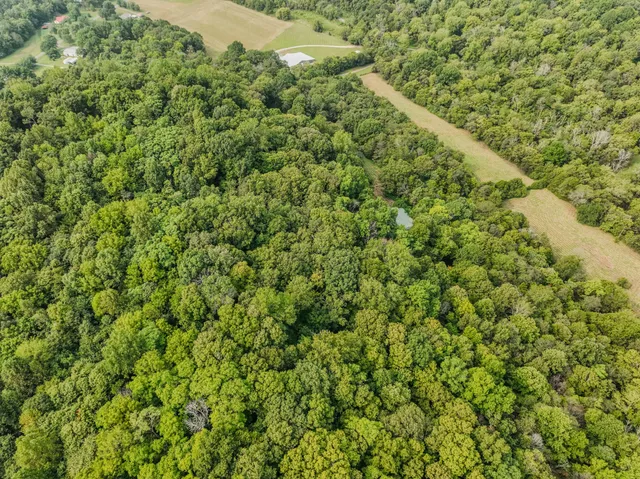 $769,500 | 410 Britton Hollow Road, Pulaski, TN 38478