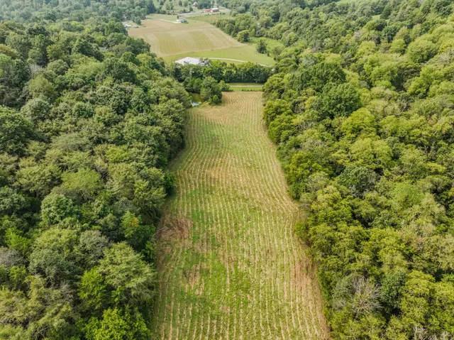 $769,500 | 410 Britton Hollow Road, Pulaski, TN 38478