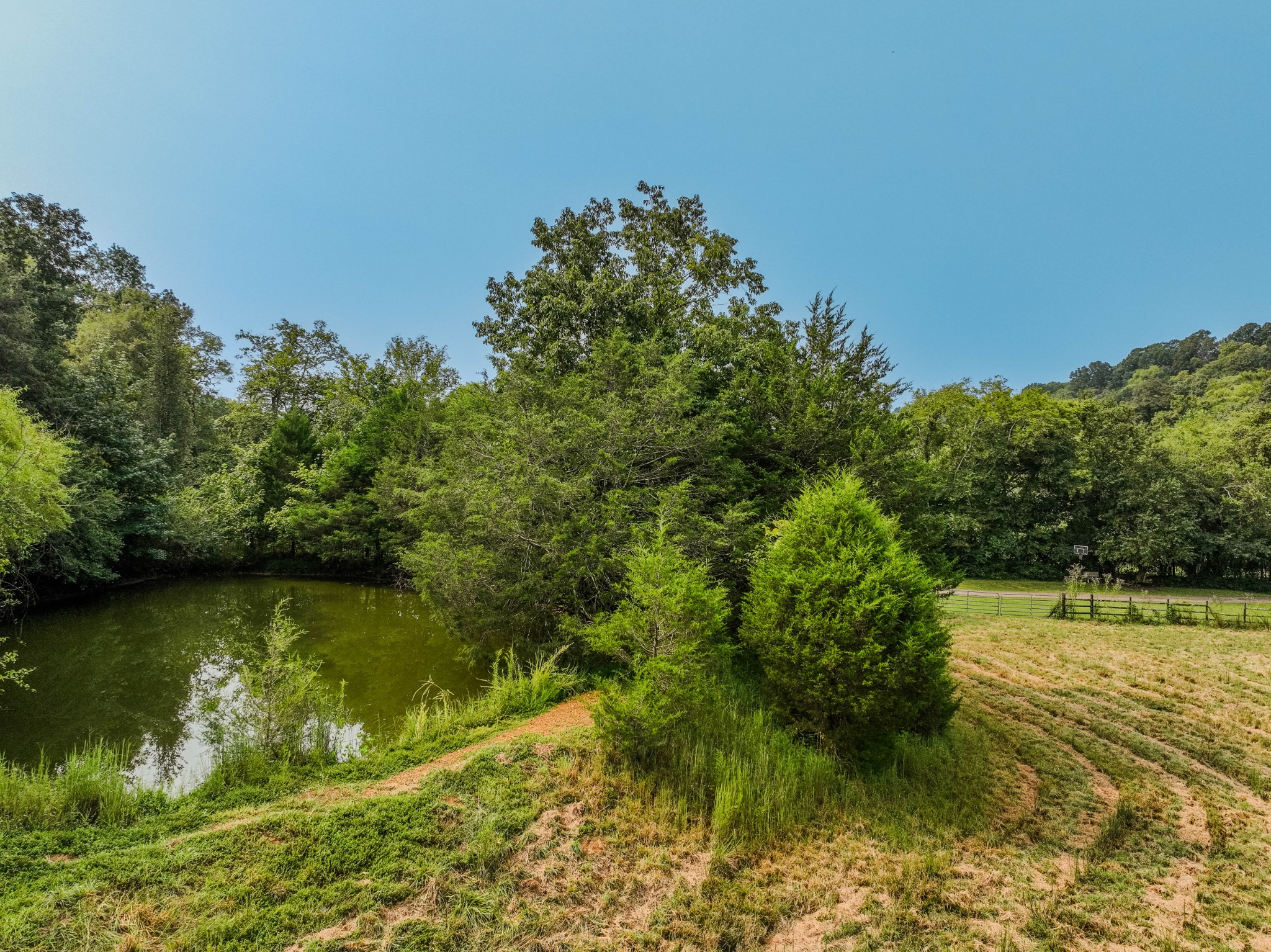 410 Britton Hollow Road Pulaski, TN 38478 - Photo 71 of 74 a view of a lake with a yard