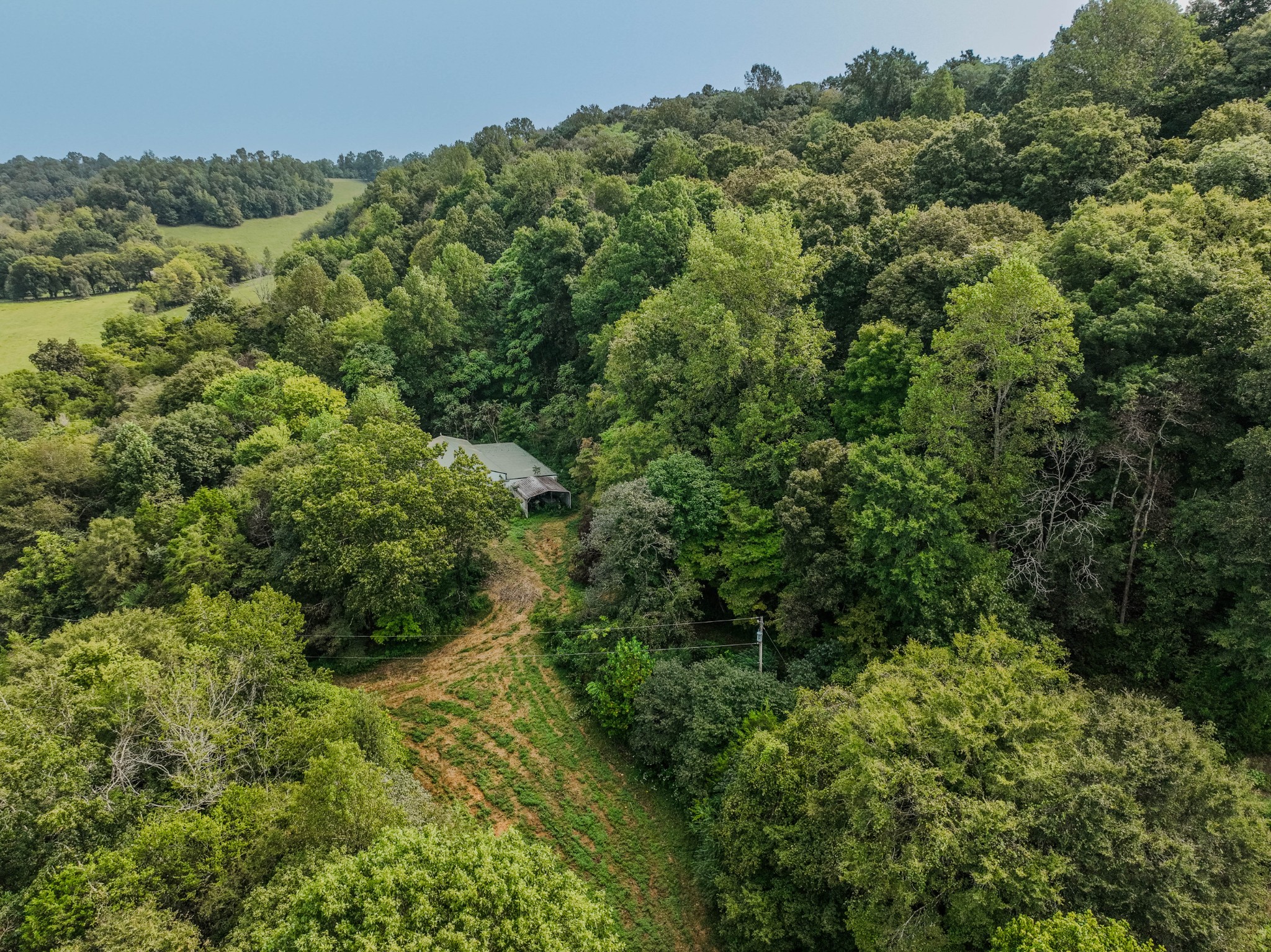 410 Britton Hollow Road Pulaski, TN 38478 - Photo 73 of 74 a view of a forest with a street