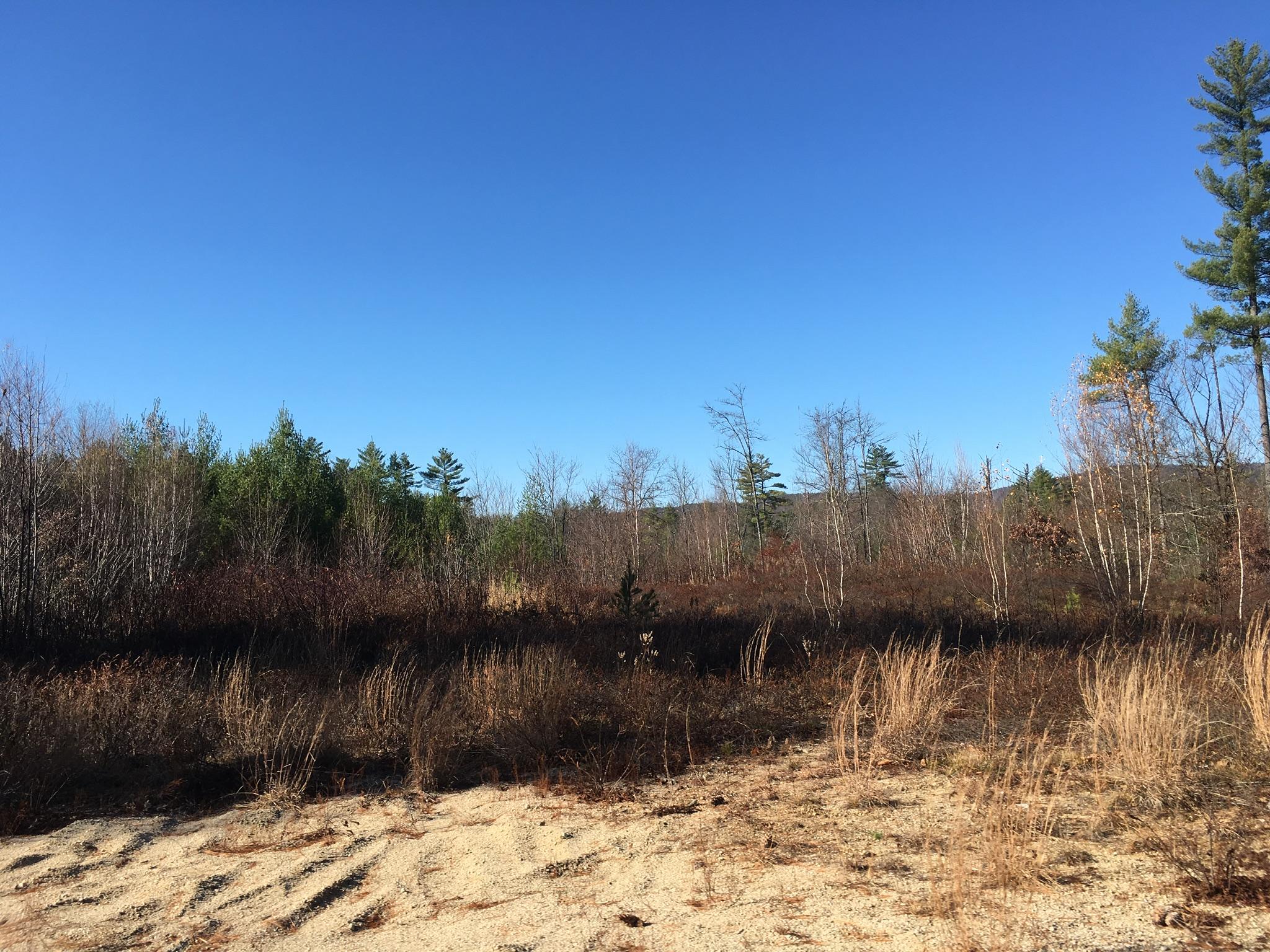 11-acres Bridgton Road East Baldwin, ME 04024 - Photo 5 of 6 354526A8-44B3-4DC7-B04D-2424FE5EA862