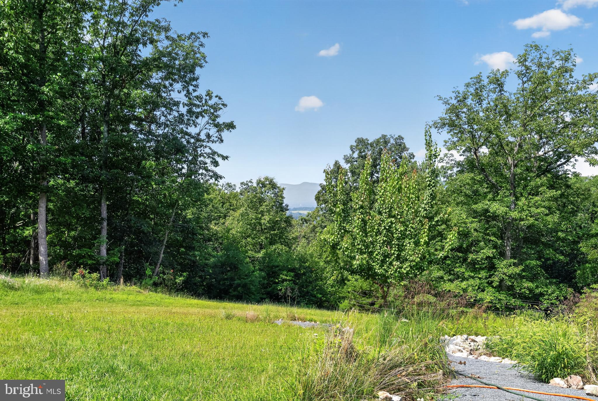 1812 Rileyville Road Rileyville, VA 22650 - Photo 35 of 38 Gallery Image 35