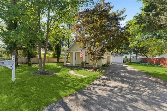 a view of a yard with plants and trees