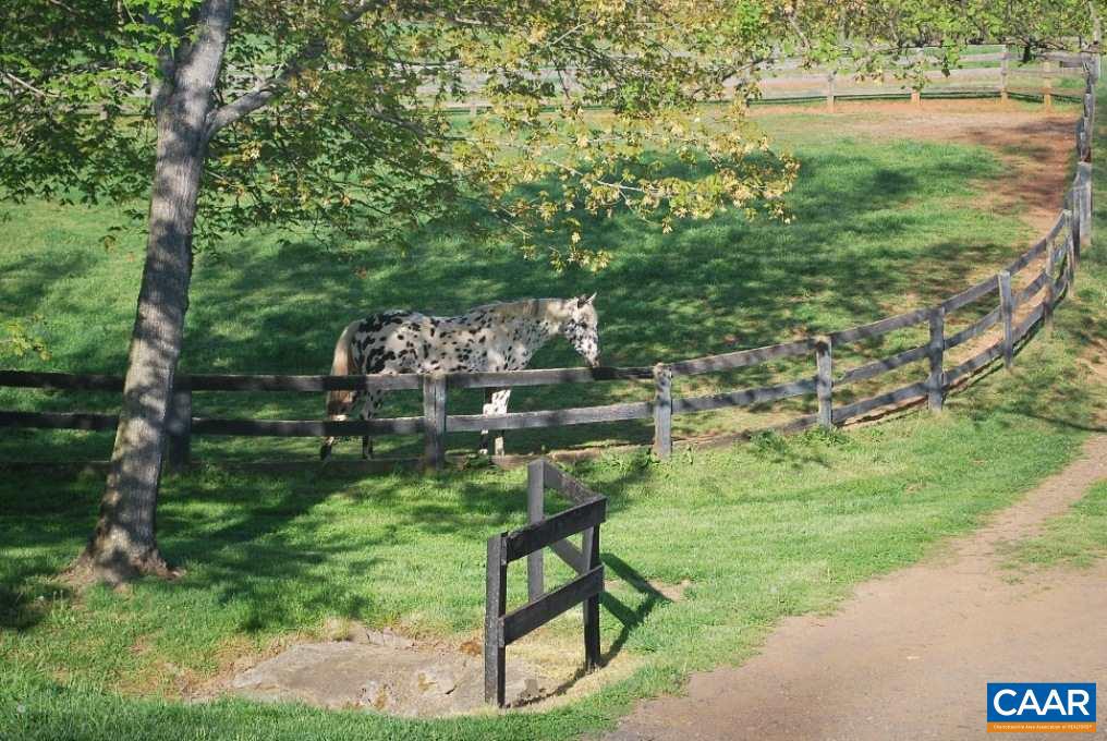 2437 Funny Farm Road Reva, VA 22735 - Photo 47 of 50