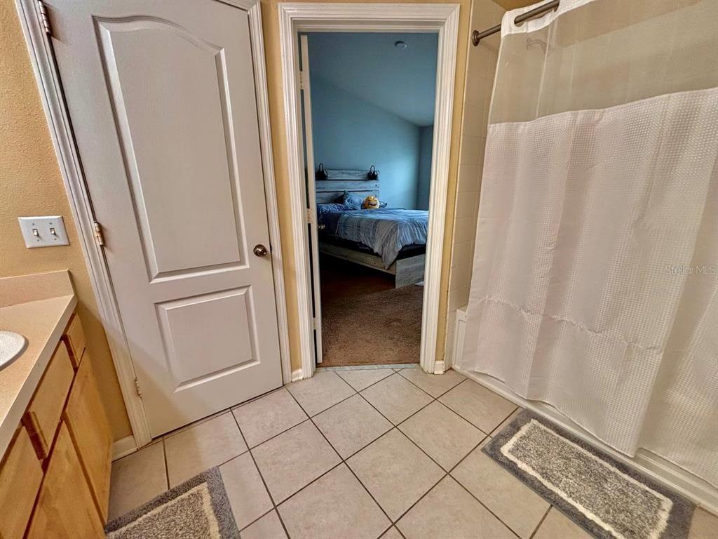 26618 Castleview Way Wesley Chapel, FL 33544 - Photo 11 of 29