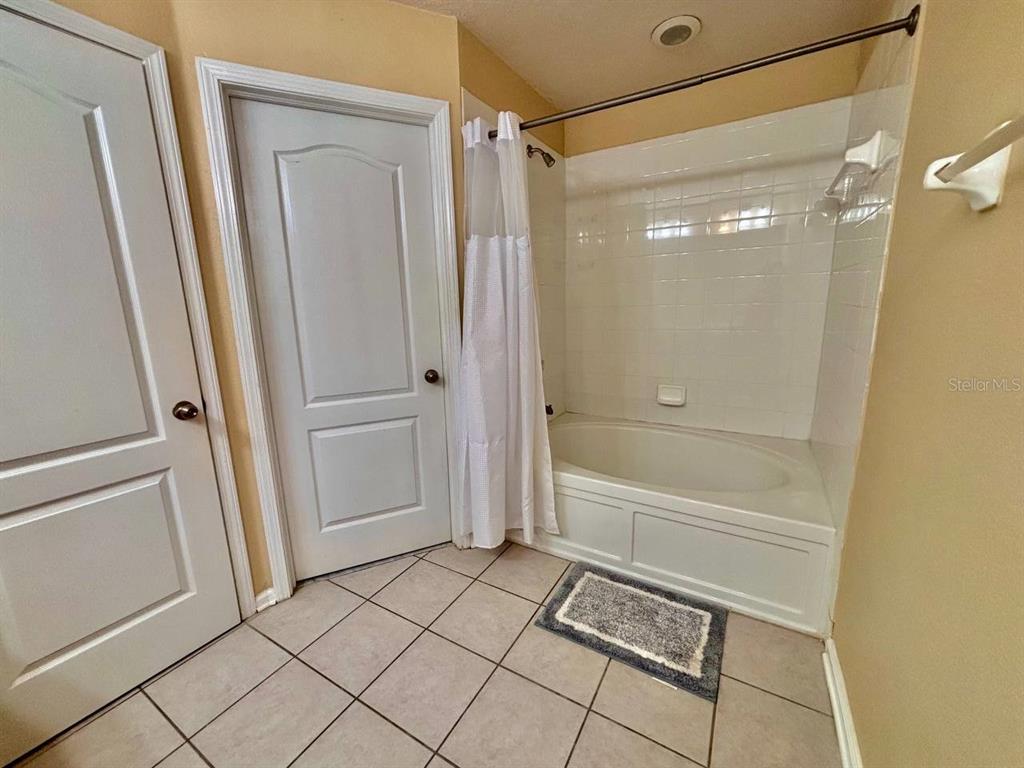 26618 Castleview Way Wesley Chapel, FL 33544 - Photo 12 of 29 a bathroom with a bathtub and a shower