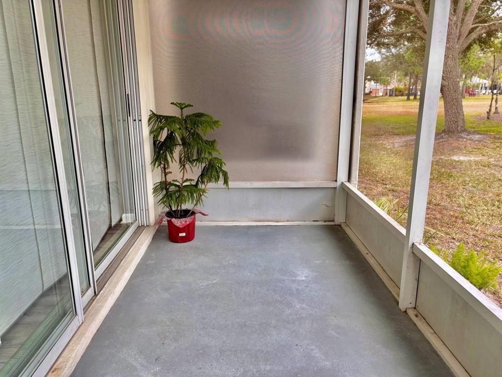 26618 Castleview Way Wesley Chapel, FL 33544 - Photo 23 of 29 a hallway with a plant in front of a door