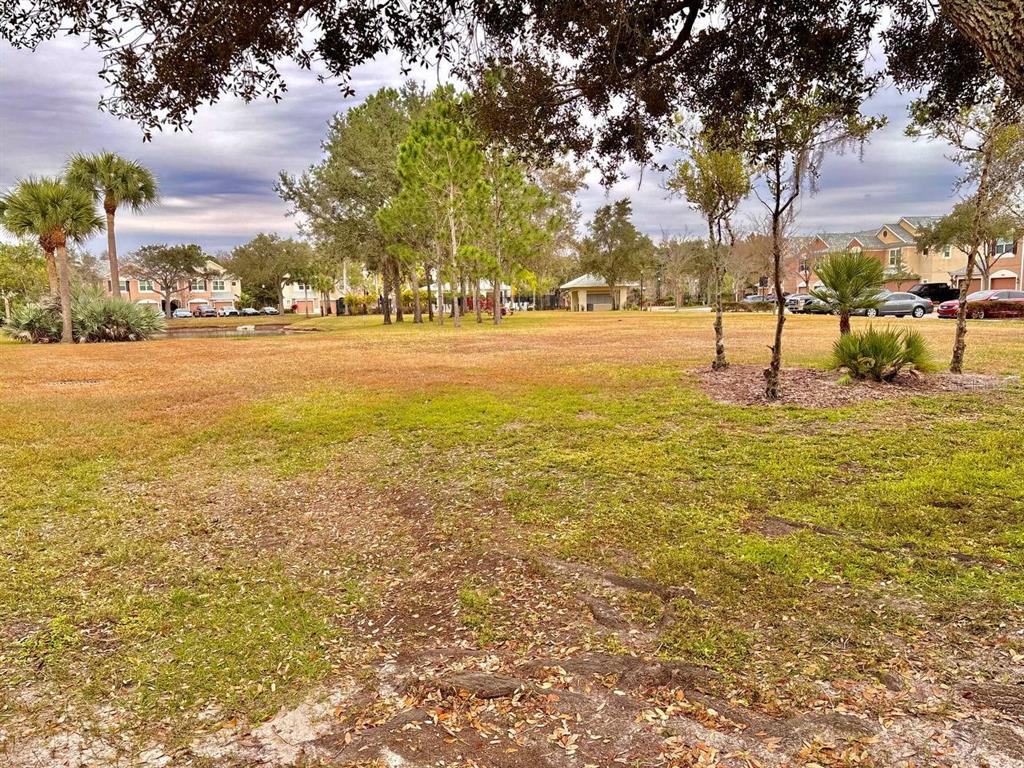 26618 Castleview Way Wesley Chapel, FL 33544 - Photo 24 of 29 a view of lawn chairs