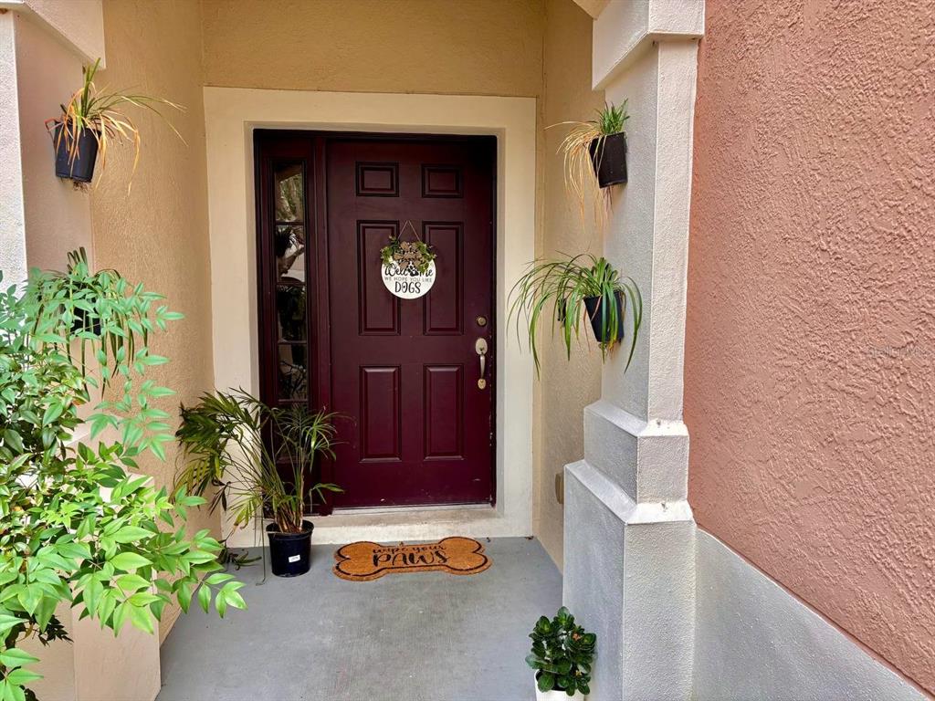 26618 Castleview Way Wesley Chapel, FL 33544 - Photo 28 of 29