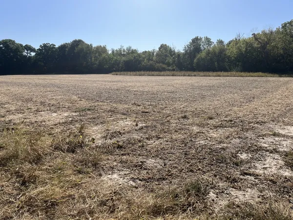 a view of an outdoor space and a yard