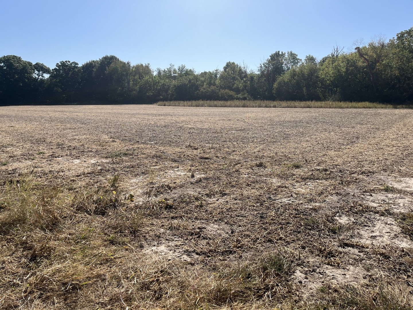 a view of an outdoor space and a yard